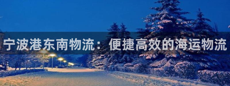 28圈现在狂杀：宁波港东南物流：便捷