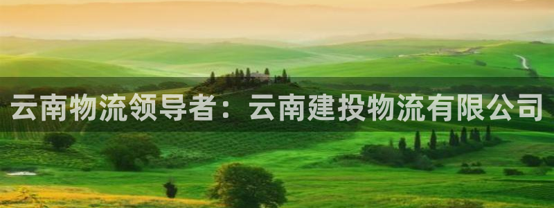 28圈免费充钱：云南物流领导者：云南