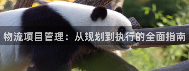 28圈返水怎么算的：物流项目管理：从