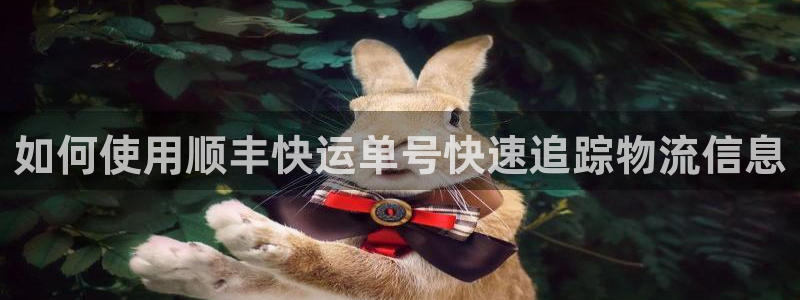 28圈模拟器下载：如何使用顺丰快运单
