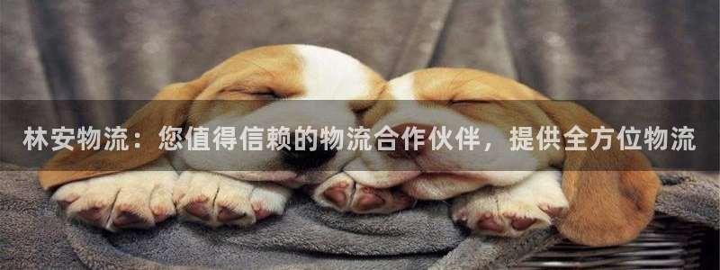 28圈软件是什么