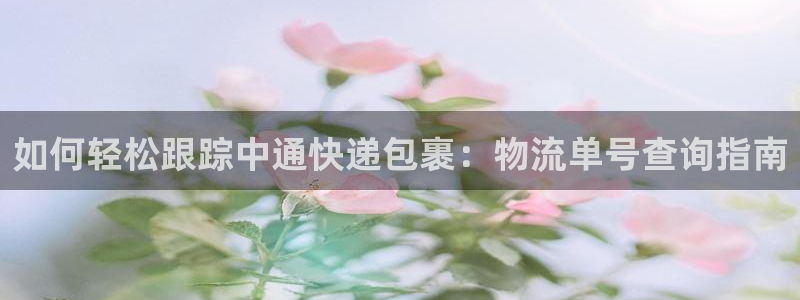 28圈大神预测：如何轻松跟踪中通快递