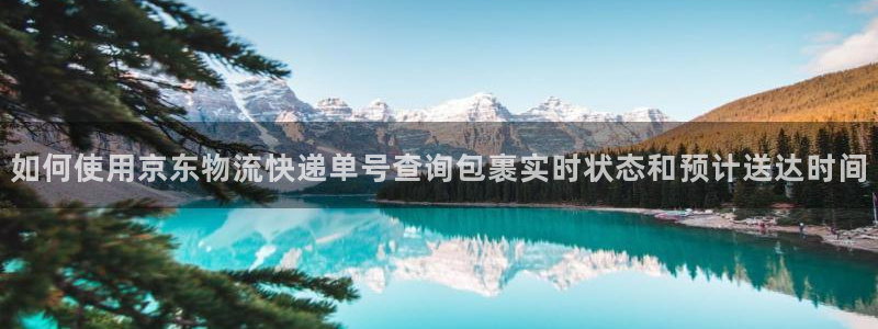 28圈游戏链接：如何使用京东物流快递