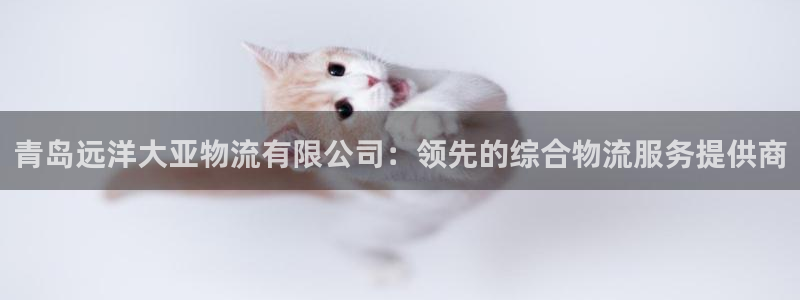 28圈注册号：青岛远洋大亚物流有限公