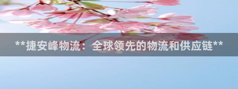 28圈官网多少：**捷安峰物流：全球