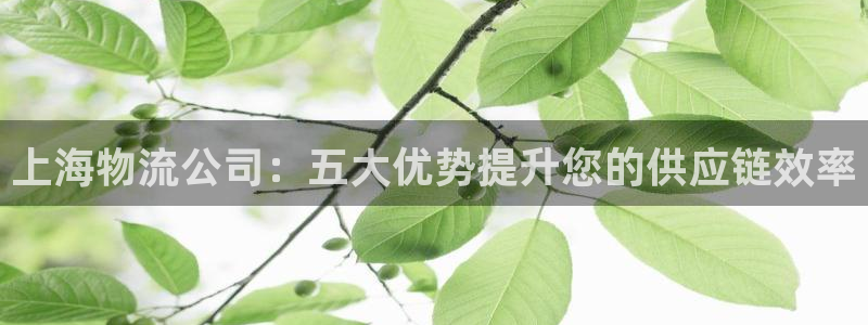 28圈是正规软件吗：上海物流公司：五