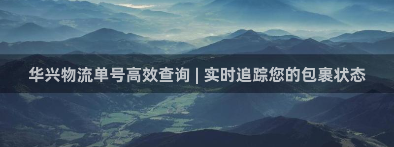 28圈加拿大最新版：华兴物流单号高效