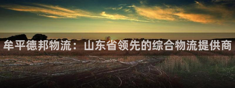 28圈官方平台：牟平德邦物流：山东省
