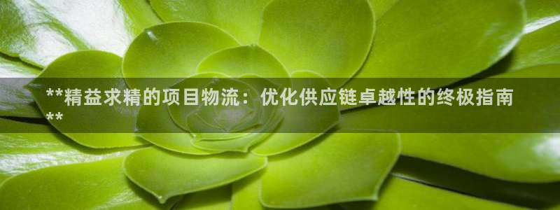 28圈注册限制怎么解除：**精益求精