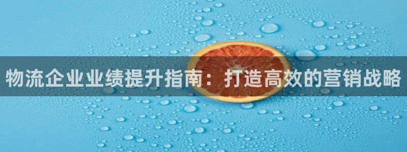 28圈推广链接是多少钱一个：物流企业