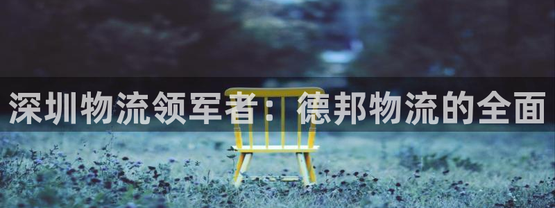 28圈玩法：深圳物流领军者：德邦物流