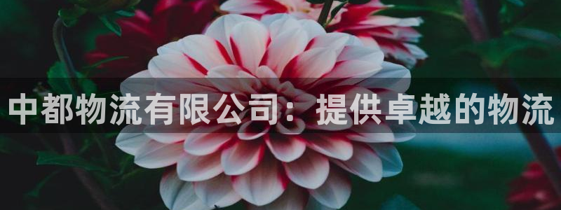 28圈下载体育：中都物流有限公司：提