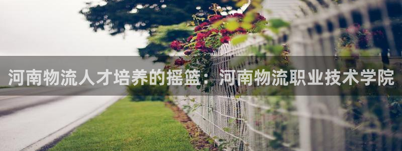 28圈登录不上咋回事：河南物流人才培