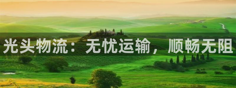 28圈官网注册：光头物流：无忧运输，