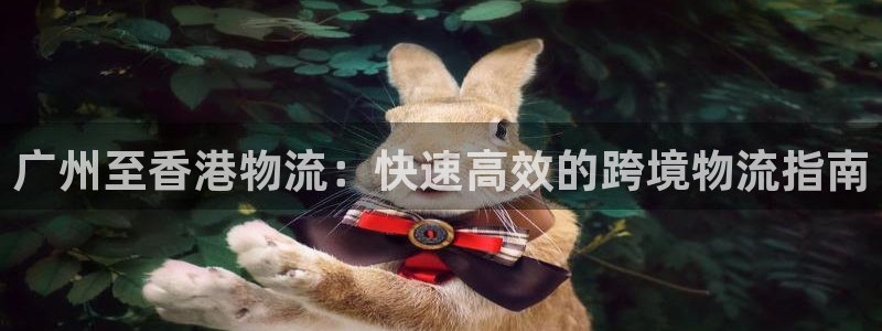 28圈如何看012路计划：广州至香港