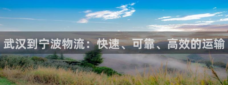 28圈选28ng官网：武汉到宁波物流