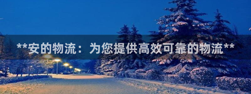 28圈注册网站链接：**安的物流：为