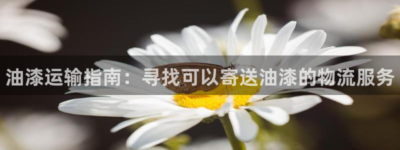 28圈官网下载链接是什么网站：油漆运
