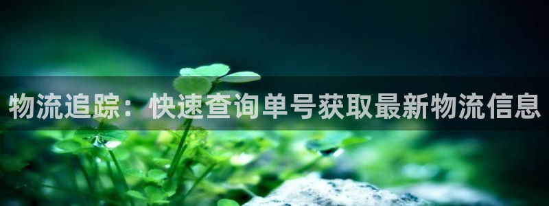 28圈登录不上咋回事：物流追踪：快速