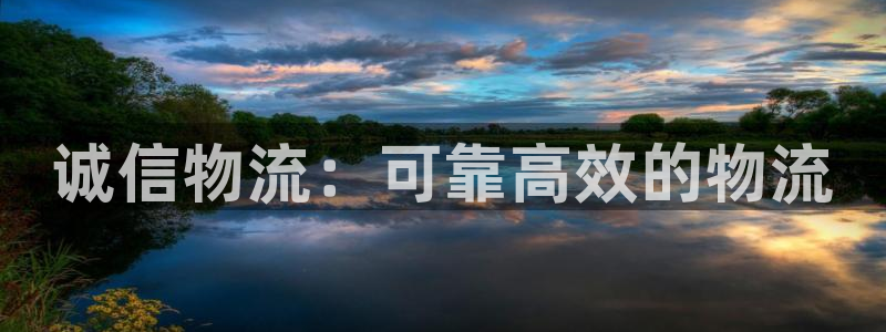 28圈开奖预测：诚信物流：可靠高效的