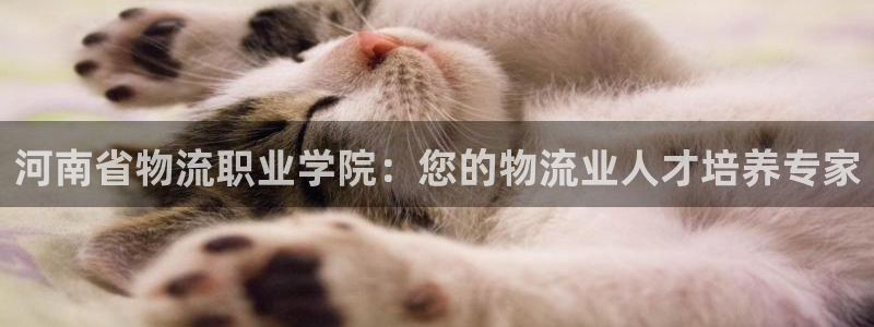 28圈.ccmpc28：河南省物流职