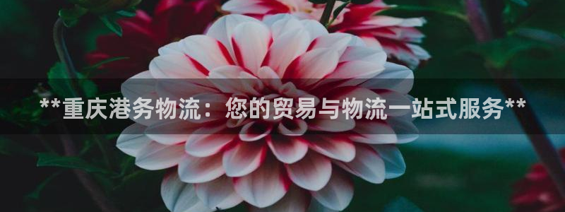 28圈是什么是赌博吗?：**重庆港务