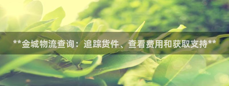 28圈注册登录流程：**金城物流查询