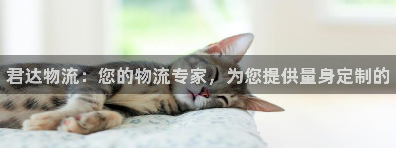 28圈预测加拿大：君达物流：您的物流