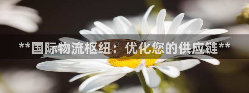 28圈注册网站链接怎么弄：**国际物