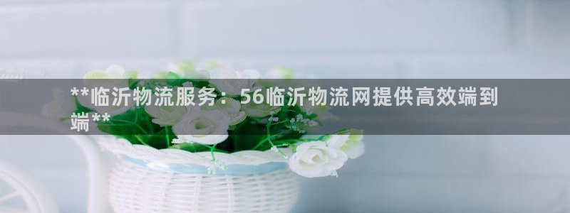 28圈下载不了：**临沂物流服务：5