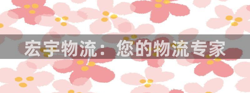 28圈预测加拿大：宏宇物流：您的物流