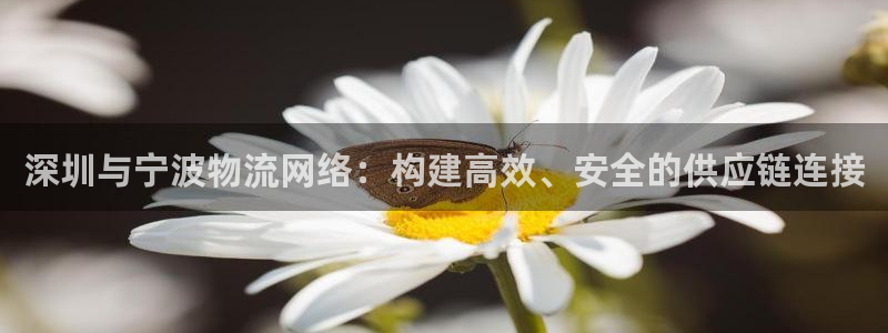 28圈圈助手