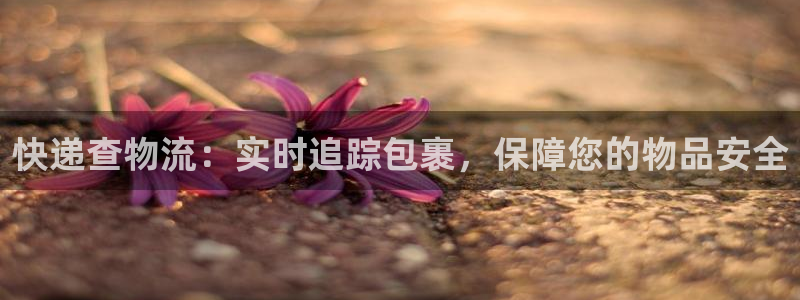 28圈模拟器在线玩