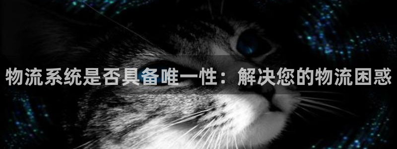 28圈pg麻将胡了