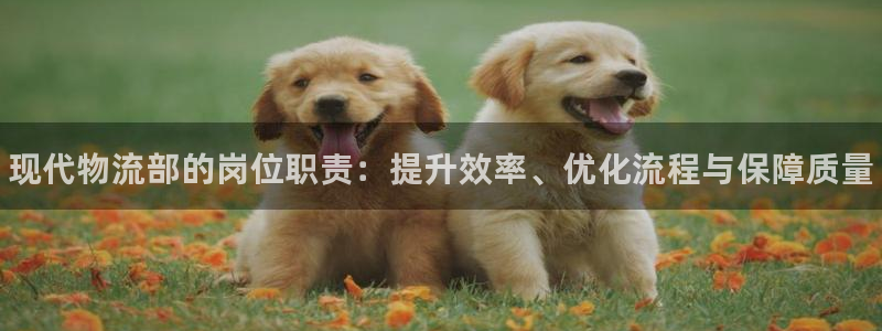 28圈注册入口与教程：现代物流部的岗