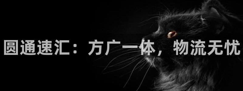 28圈在线预测官网：圆通速汇：方广一