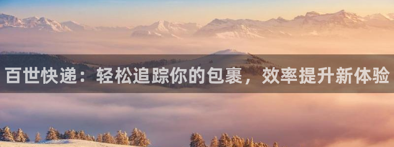 28圈玩法：百世快递：轻松追踪你的包裹，效率提升新体验