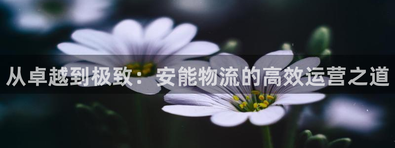 28圈下载体育:从卓越到极致:安能物