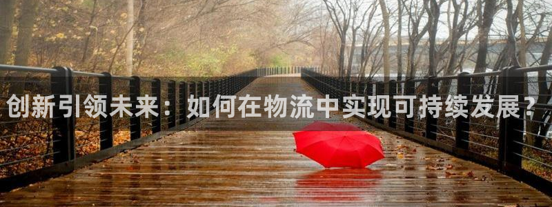 28圈模拟：创新引领未来：如何在物流