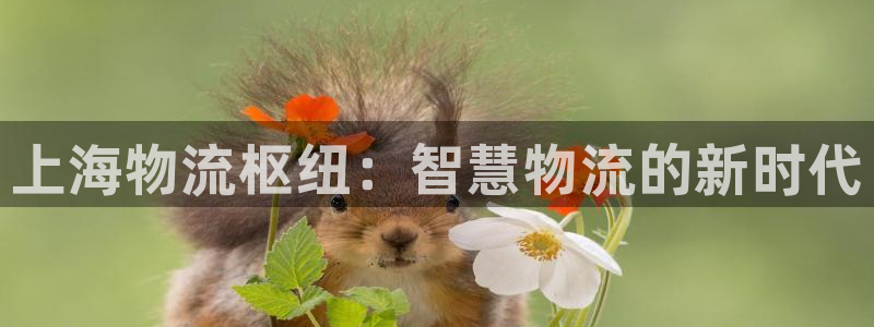 28圈注册流程：上海物流枢纽：智慧物